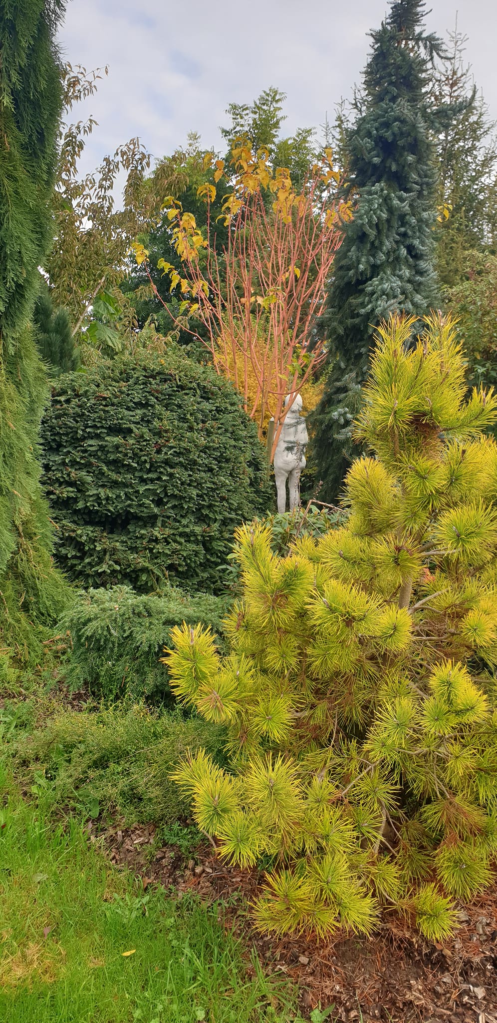 statut de Michel Charpentier